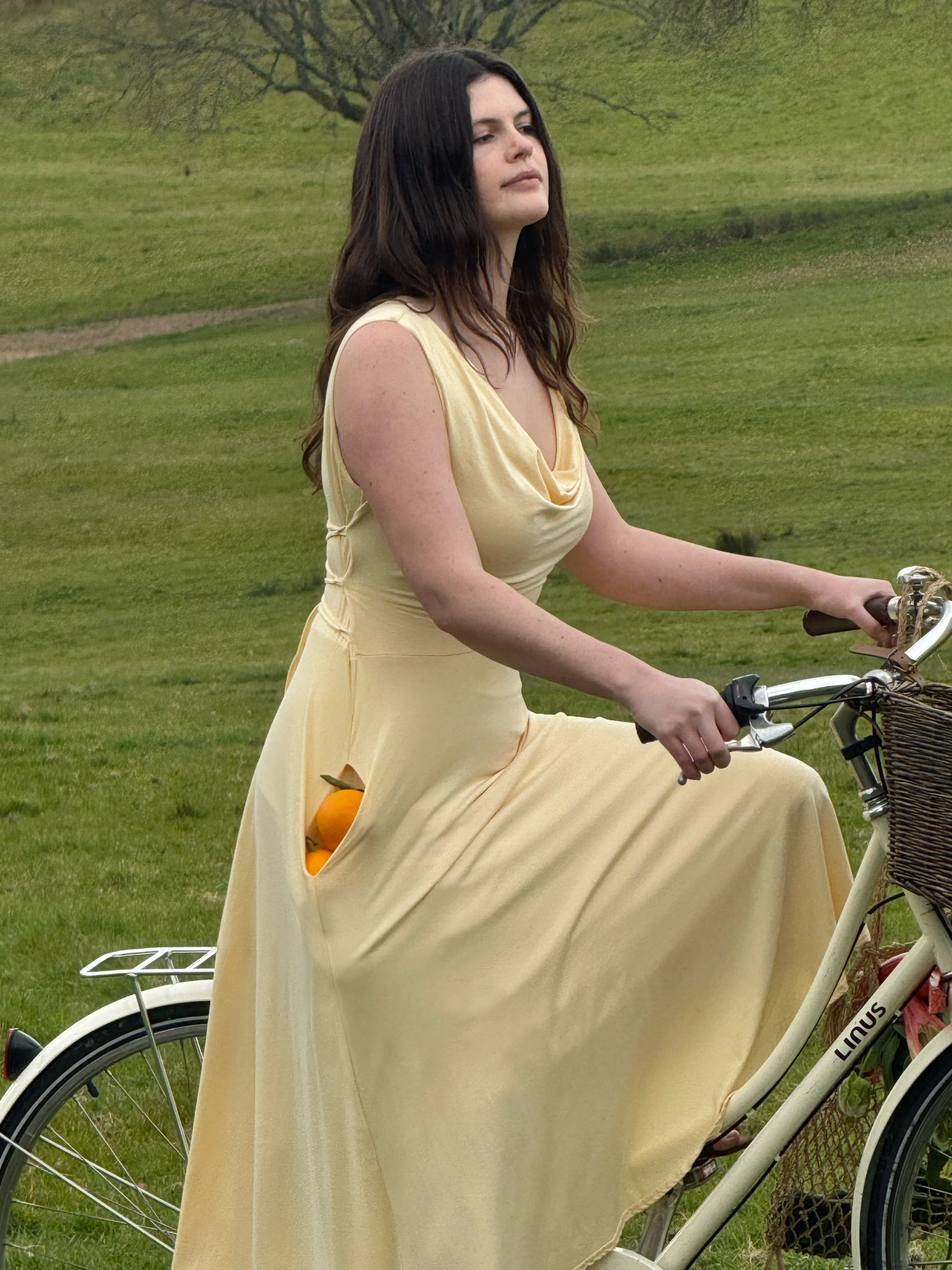 Lana Dress - Image 6